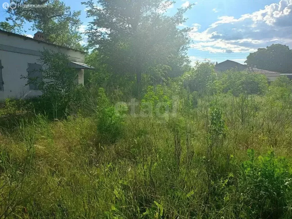 Участок в Шахты, переулок Куйбышева (6 м) - Фото 2