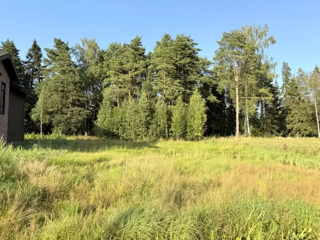 Участок в Московская область, Одинцовский городской округ, д. Супонево ... - Фото 2