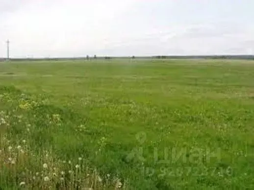 Участок в Калининградская область, Гурьевский муниципальный округ, ... - Фото 1