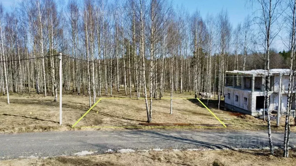 Участок в Ленинградская область, Всеволожский район, Куйвозовское ... - Фото 1