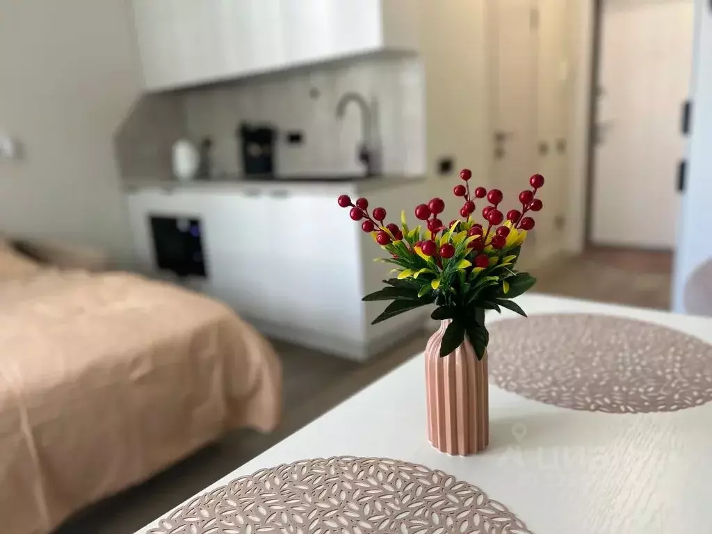 Студия Краснодарский край, Туапсинский муниципальный округ, с. ... - Фото 2