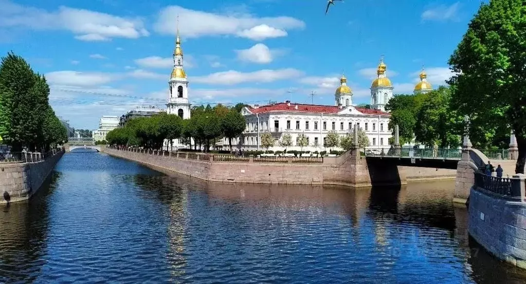 Комната Санкт-Петербург Садовая ул., 98 (17.0 м) - Фото 1