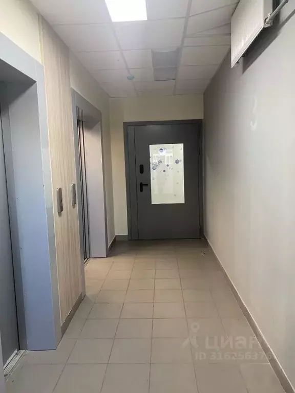 1-к кв. Московская область, Мытищи городской округ, д. Бородино ул. ... - Фото 1