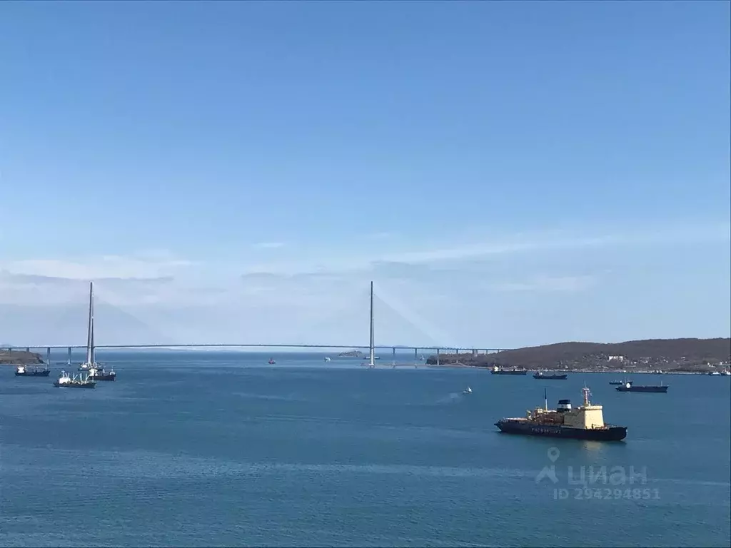 2-к кв. Приморский край, Владивосток ул. Крыгина, 42 (100.0 м) - Фото 2