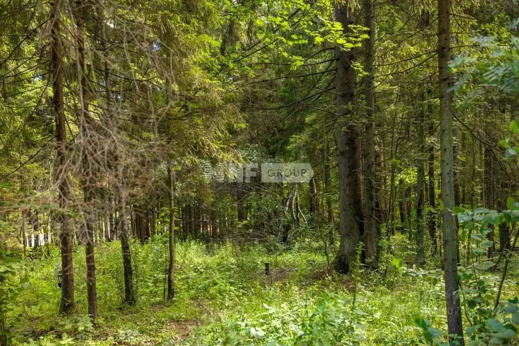 Участок в Московская область, Одинцовский городской округ, пос. ... - Фото 0
