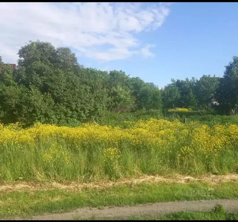 Участок в Нижегородская область, Городецкий муниципальный округ, Санда ... - Фото 1