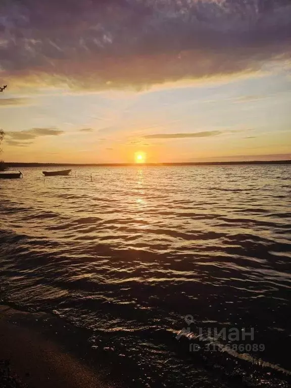 Участок, 10 сот., сельхоз (снт или днп) - Фото 0
