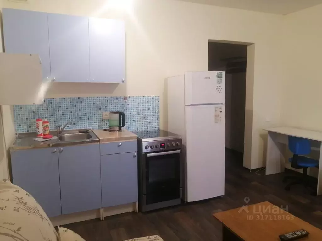 Студия Новосибирская область, Новосибирск Рябиновая ул., 10/1 (30.0 м) - Фото 0