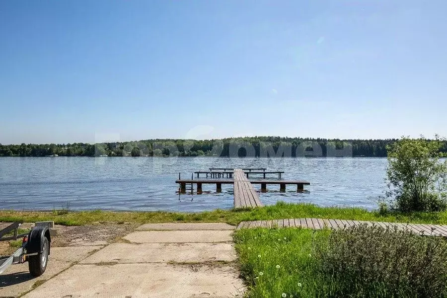 Участок в Московская область, Мытищи городской округ, д. Пчелка  (50.0 ... - Фото 0