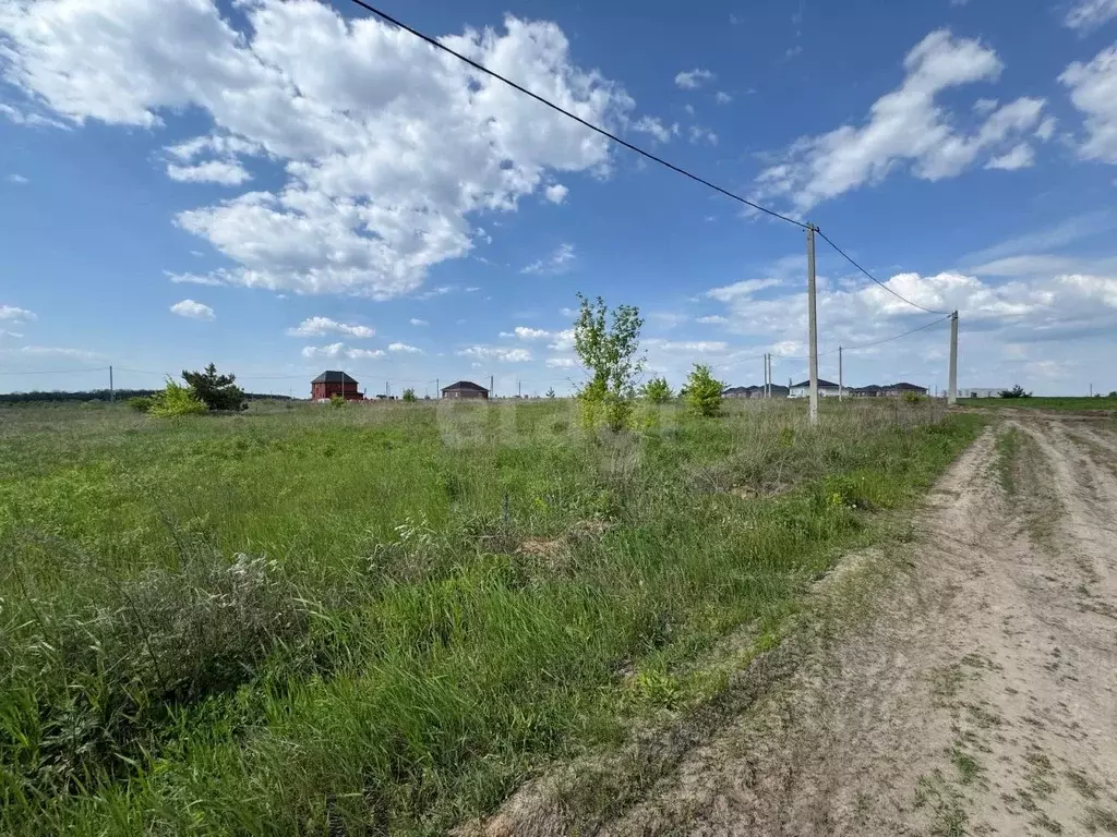 Участок в Курская область, Курский район, Моковский сельсовет, д. ... - Фото 1
