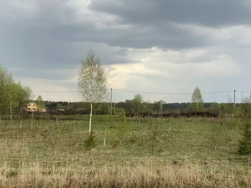 Участок в Московская область, Пушкинский городской округ, с. Тишково ... - Фото 1