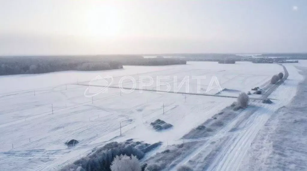 Участок в Свердловская область, Тугулымский муниципальный округ, с. ... - Фото 2