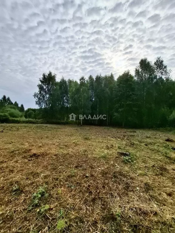 Участок в Владимирская область, Владимир Лунево мкр, ул. Луневская ... - Фото 1