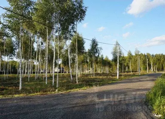 Участок в Московская область, Домодедово городской округ, д. Данилово ... - Фото 1