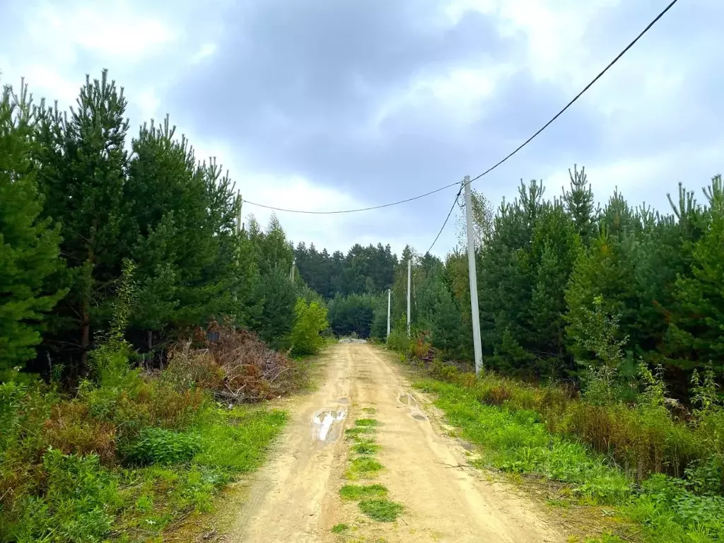 Участок в Свердловская область, Белоярский муниципальный округ, с. ... - Фото 1