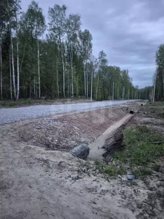 Участок в Тюменская область, Тобольск ул. Захаровой (12.0 сот.) - Фото 1
