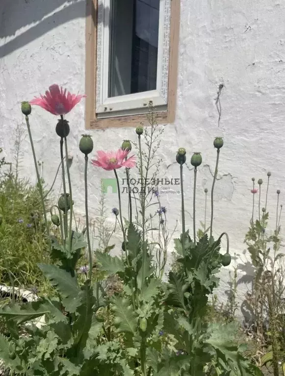 Дом в Иркутская область, Усольский район, Тельма рп ул. 40 лет ... - Фото 2