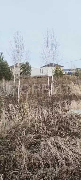 Участок в Тюменская область, Тюмень Ирбитский Тракт 3-й км от ... - Фото 1