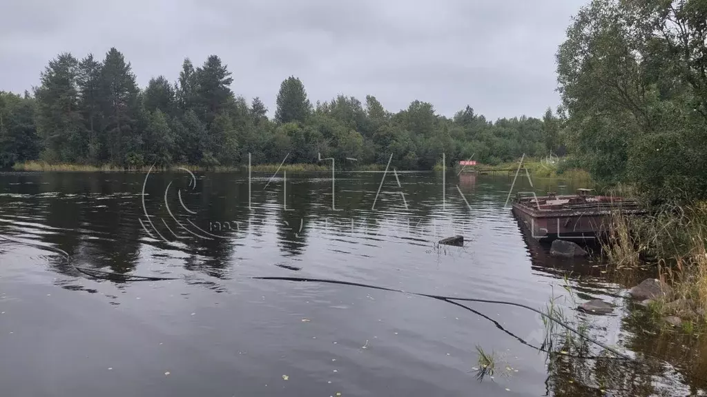 Дом в Ленинградская область, Подпорожское городское поселение, д. ... - Фото 1