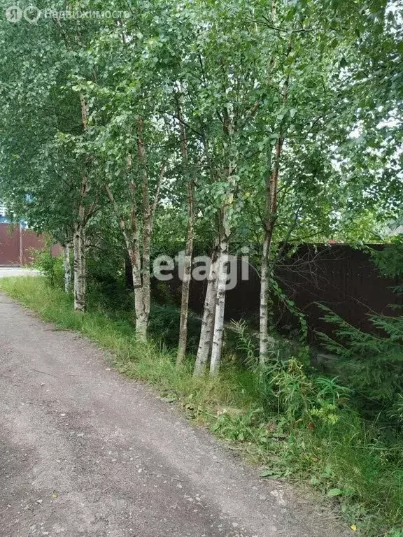 дом в ленинградская область, приозерское городское поселение, снт . - Фото 1