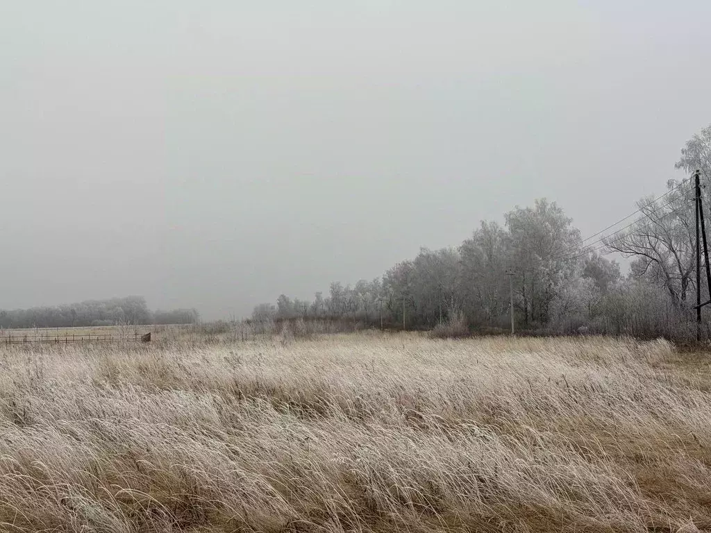 Участок в Московская область, Кашира городской округ, д. Тарасково ул. ... - Фото 1