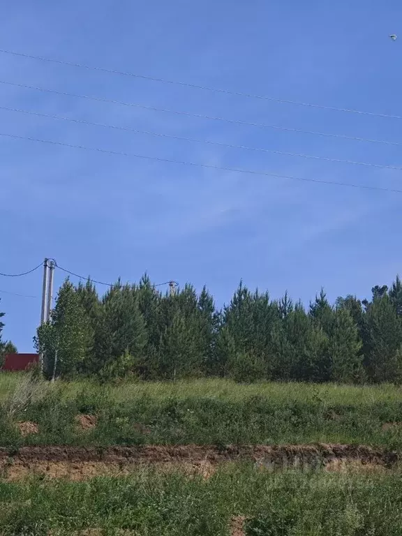 Участок в Красноярский край, Емельяново городское поселение, д. Крутая ... - Фото 1