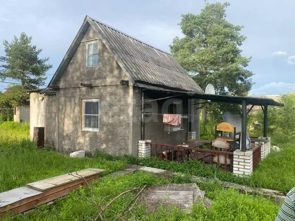 Участок в Санкт-Петербург Веретено-2 СНТ, ул. Дружная, 180 (10.0 сот.) - Фото 1