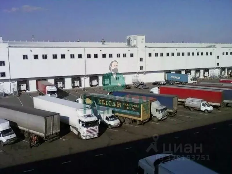 Склад в Московская область, Пушкино ул. Пушкинское поле, вл10с3 (20000 ... - Фото 1
