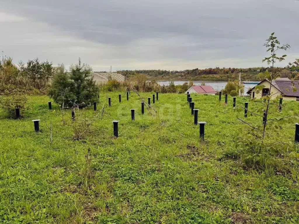 Участок в Ярославская область, Тутаевский муниципальный округ, ... - Фото 1