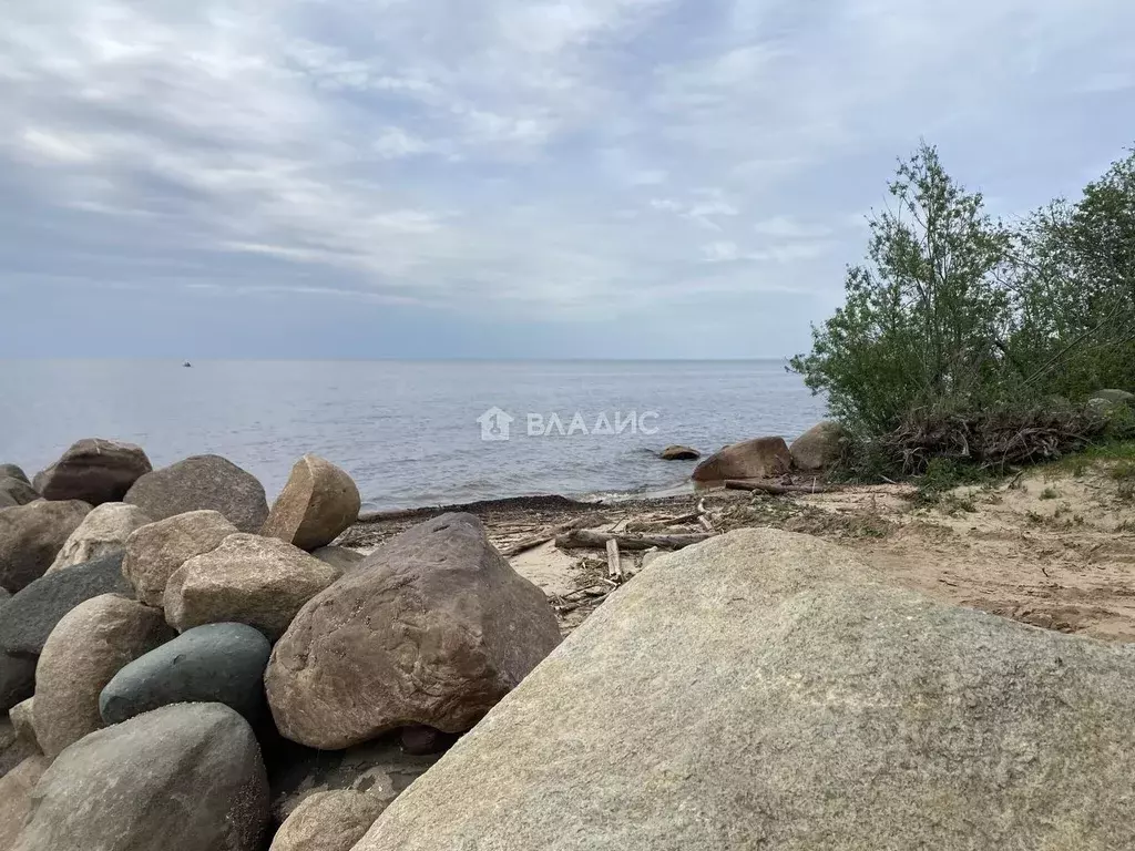 Участок в Ярославская область, Рыбинский муниципальный округ, д. ... - Фото 1
