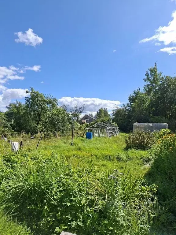 Участок в Ленинградская область, Тосно г. Тосненский район, Тосненское ... - Фото 1