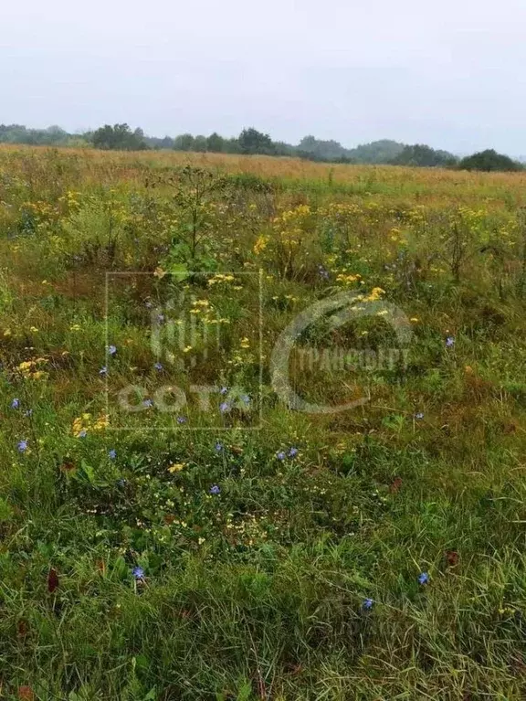 Участок в Воронежская область, Семилукский район, с. Перлевка Полевой ... - Фото 0