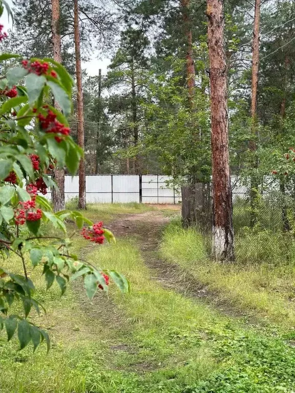 Участок в Саха (Якутия), Якутск  (8.5 сот.) - Фото 1