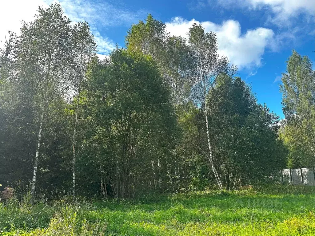 Участок в Московская область, Истра муниципальный округ, д. Кашино ул. ... - Фото 2