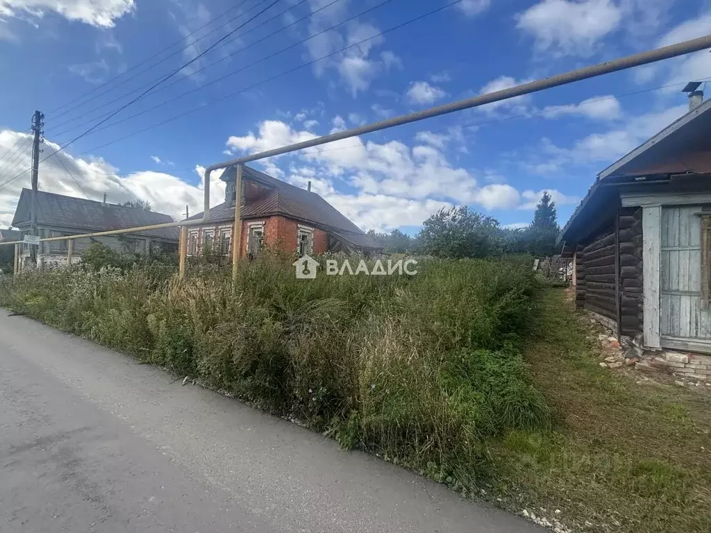 Участок в Нижегородская область, Богородский муниципальный округ, с. ... - Фото 1