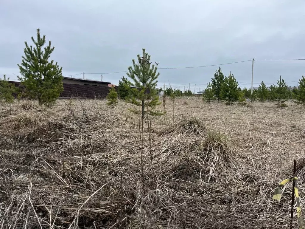 Участок в Свердловская область, Екатеринбург Макаровский-1 кп, 19 ... - Фото 2