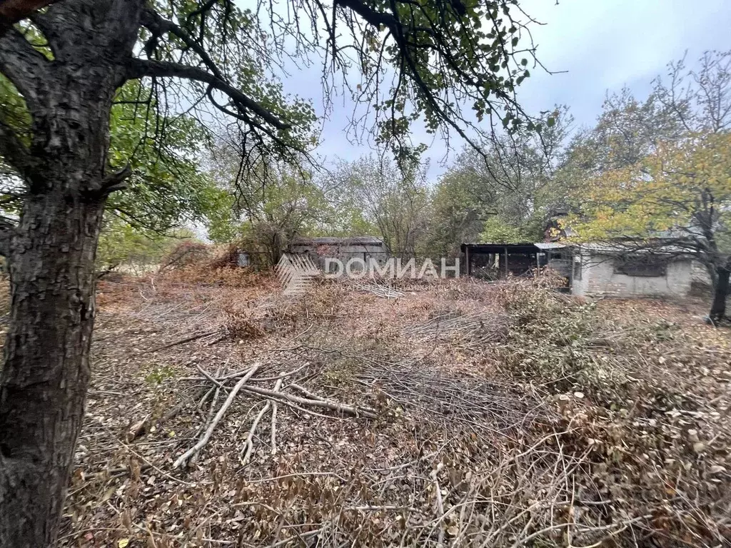 Участок в Ростовская область, Новочеркасск № 16 садовое товарищество, ... - Фото 1