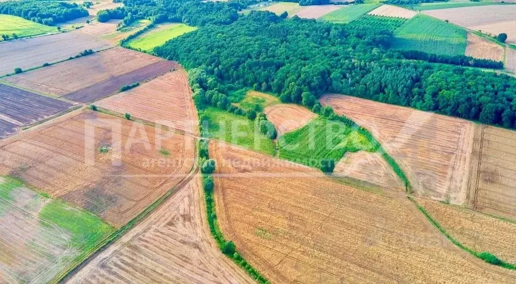 Участок в Краснодарский край, Северский район, Ильское городское ... - Фото 1