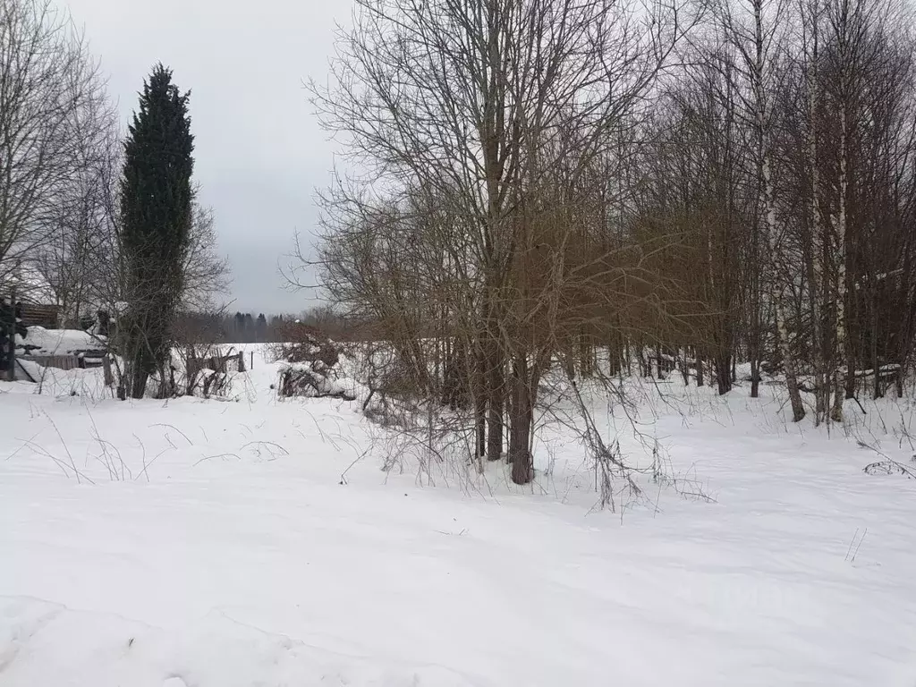 Дом в Тверская область, Западнодвинский район, д. Баево (Шараповское ... - Фото 0
