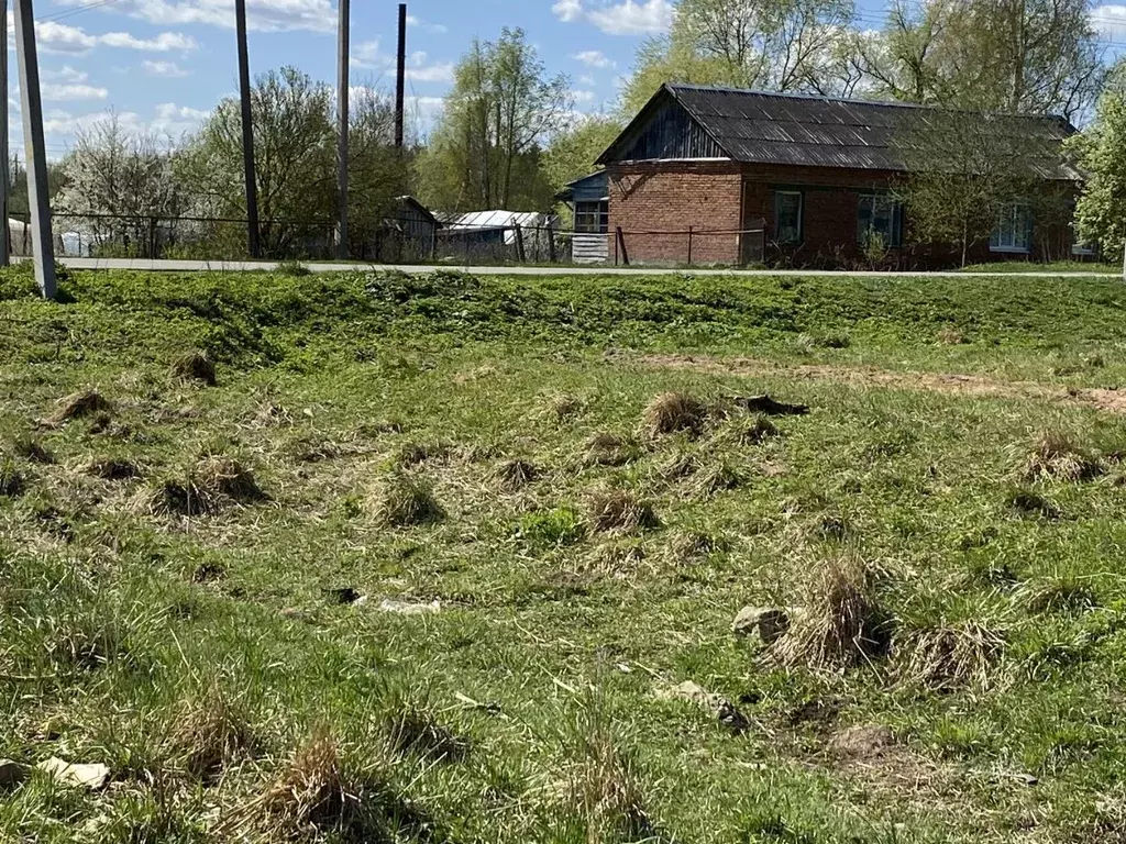 Участок в Московская область, Клин городской округ, д. Борки  (5.08 ... - Фото 0