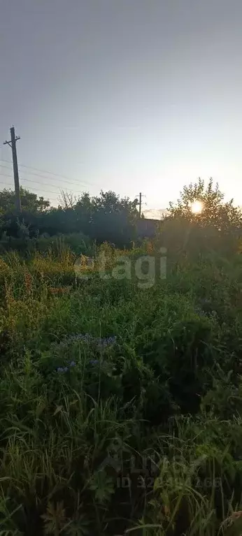 Дом в Вологодская область, Вологда Энергетик садоводческое ... - Фото 2