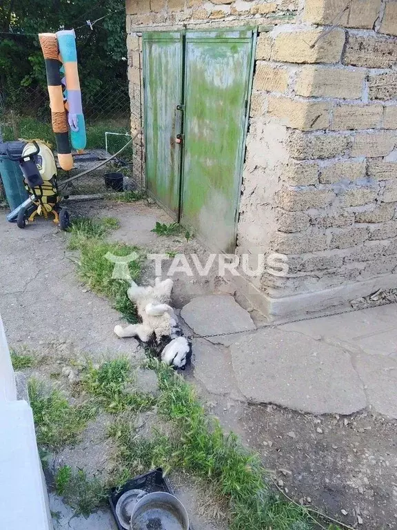 Дом в Крым, Симферопольский район, с. Урожайное ул. Виноградная (75 м) - Фото 2