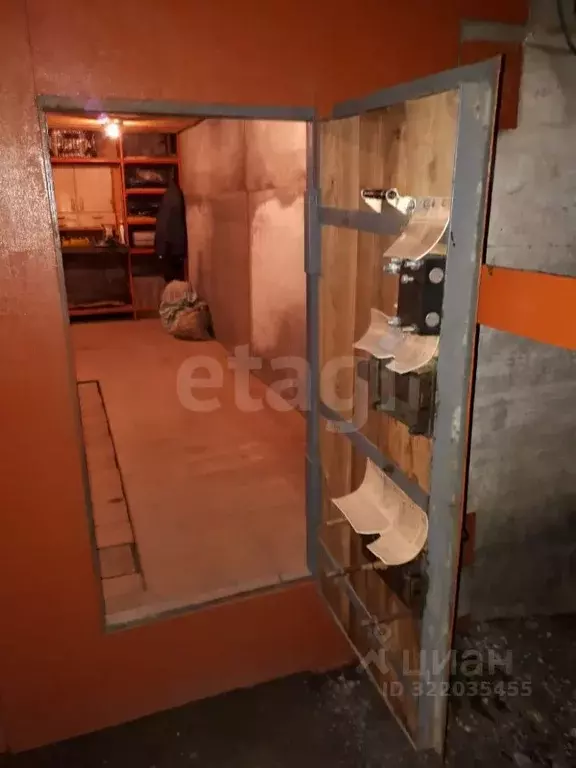 Гараж в Свердловская область, Нижний Тагил Черноисточинское ш., 68Б ... - Фото 2