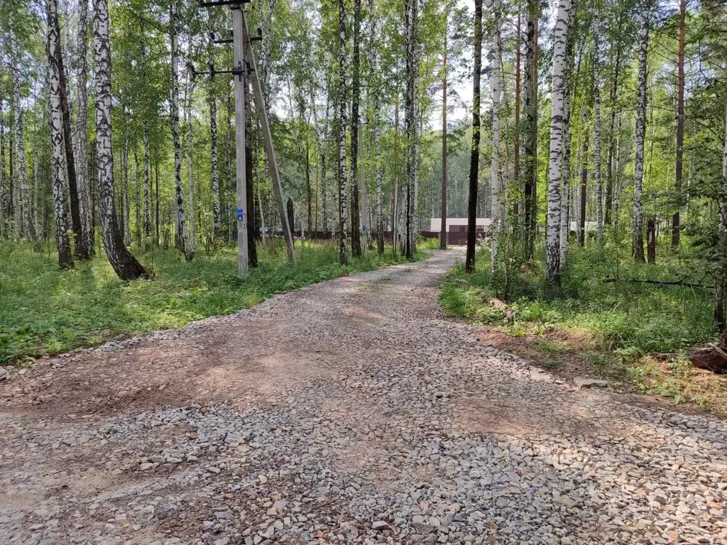 Участок в Свердловская область, Белоярский муниципальный округ, пос. ... - Фото 2