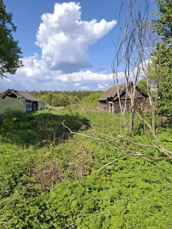 Участок в Пензенская область, Бессоновский район, Сосновский ... - Фото 2