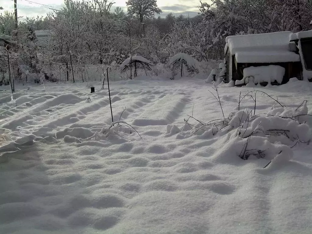 Участок в Иркутский муниципальный округ, ДНТ Городское, 84 (8 м) - Фото 1