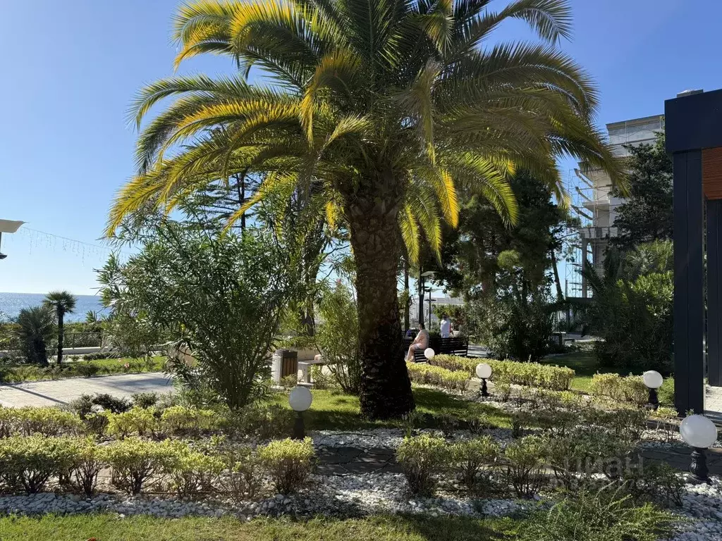 2-к кв. Краснодарский край, Сочи Лучезарная ул., 1А (51.0 м) - Фото 2