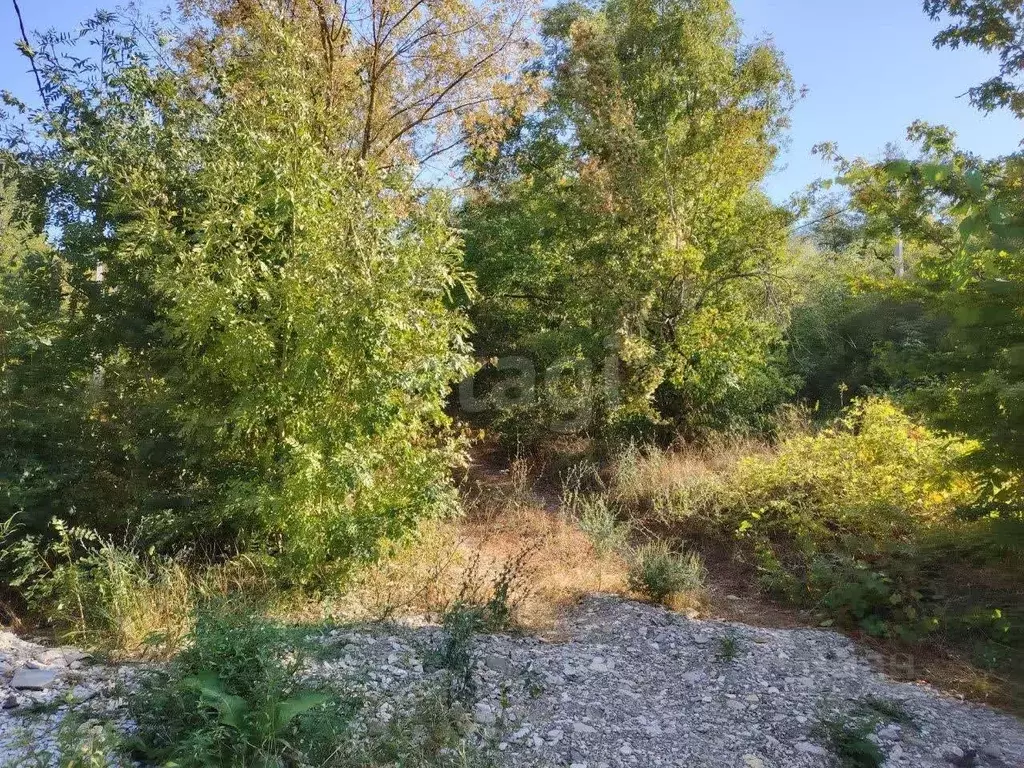 Участок в Краснодарский край, Геленджик  (4.58 сот.) - Фото 2