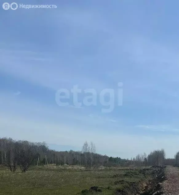 Участок в Тюменская область, Нижнетавдинский муниципальный округ, село ... - Фото 2