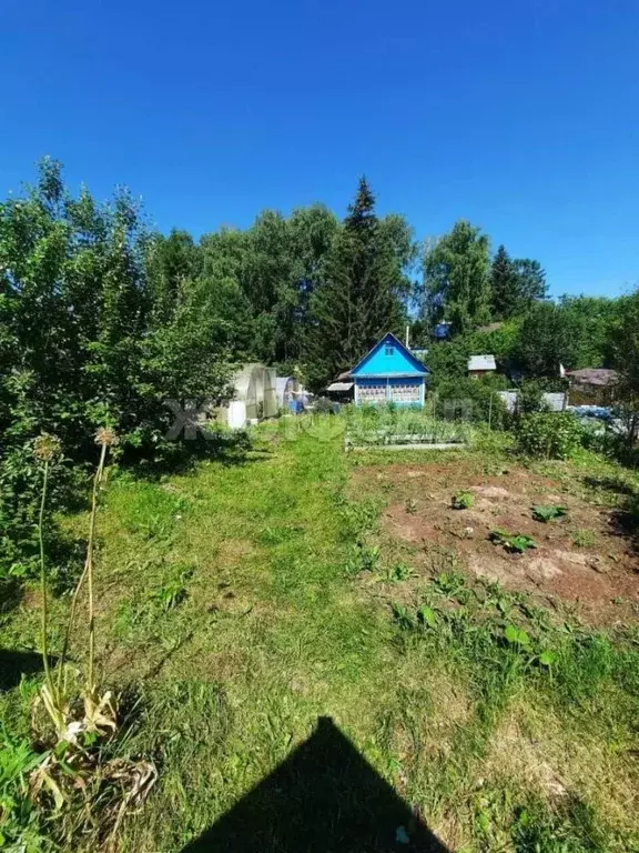 Дом в Новосибирская область, Новосибирский район, Станционный ... - Фото 0